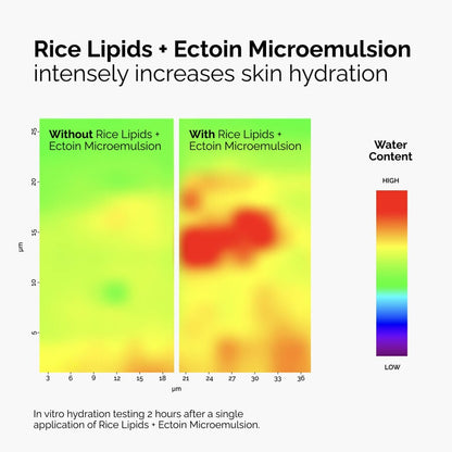 Rice Lipids + Ectoin Microemulsion - US 8787